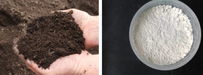 Έδαφος για Heuchera