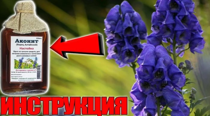 Θεραπεία με ακονίτη