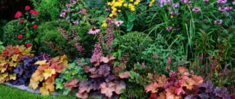 Различни листа от Хехера