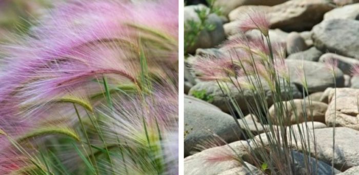 Τοποθεσία εργοστασίου