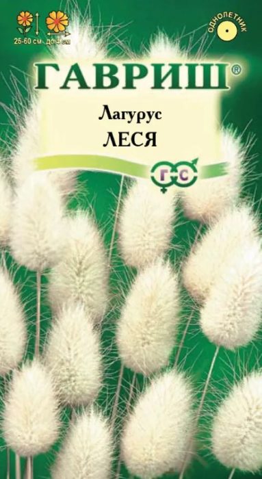 Сорт Лагурус Леся
