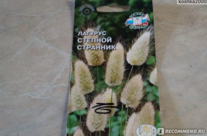 Пакет семена от лагурус