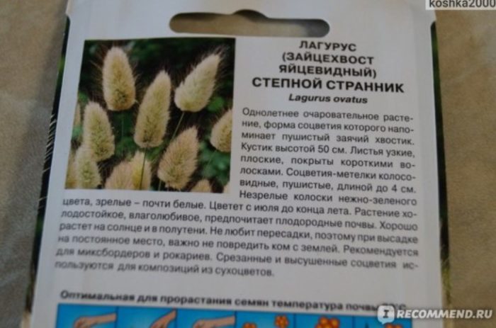 Описание на растението