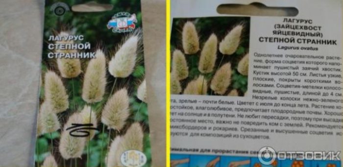 Семена от лагурус