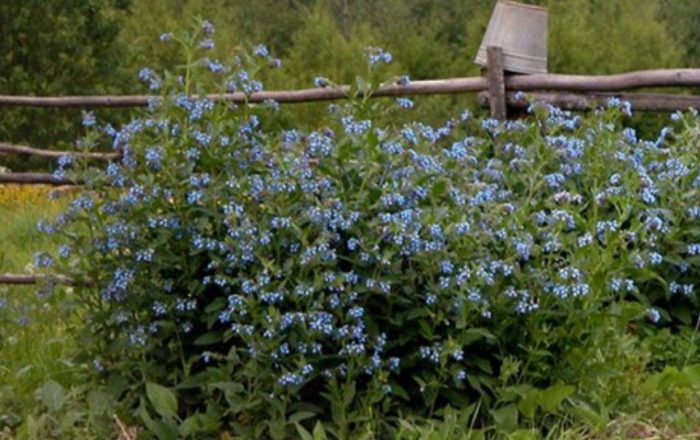 Кофрей твърд