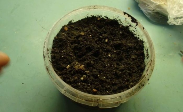 Почва и саксии за засаждане