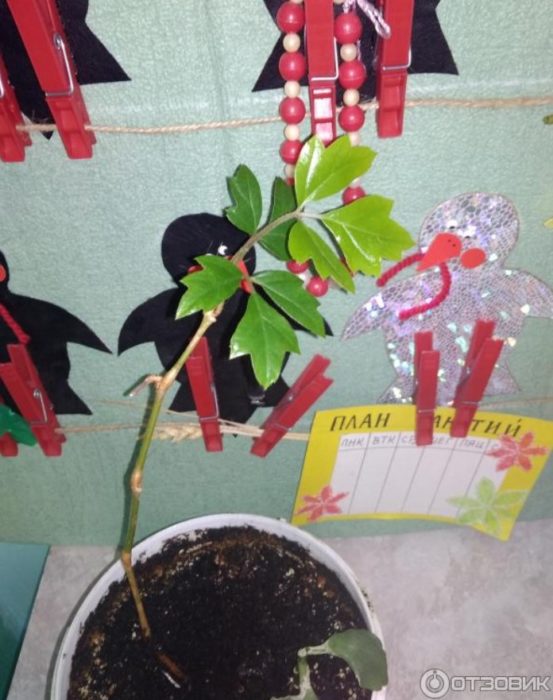 Нова фотосесия