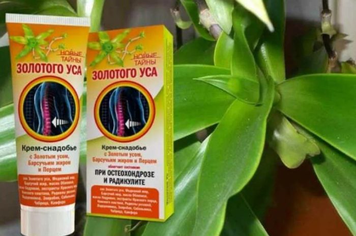 Лечебни свойства на кализия