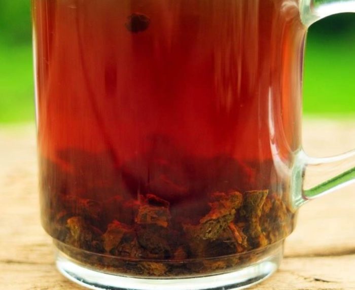 Инфузия Инфузия от кленов лист