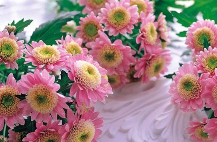 Сорт Голдбал