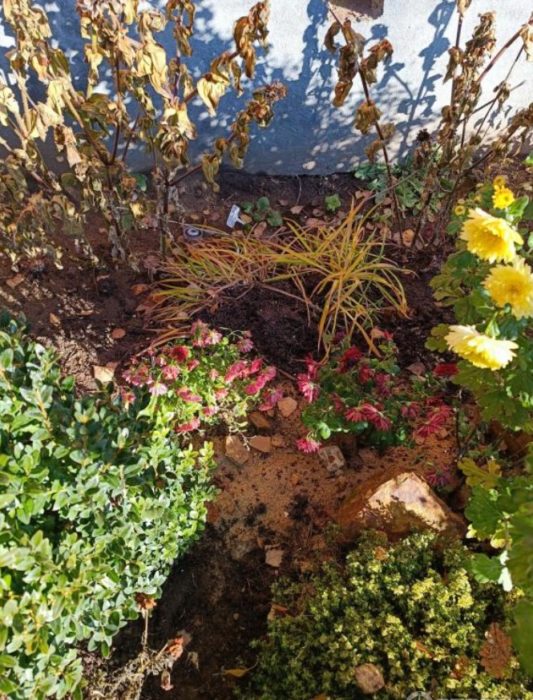 Есенни акценти