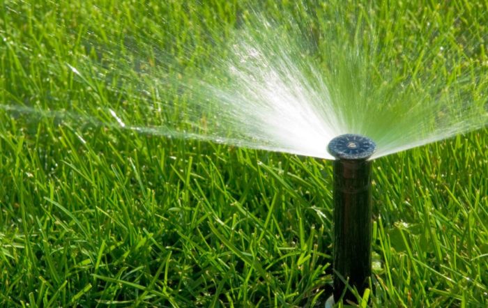 Поливане на тревата