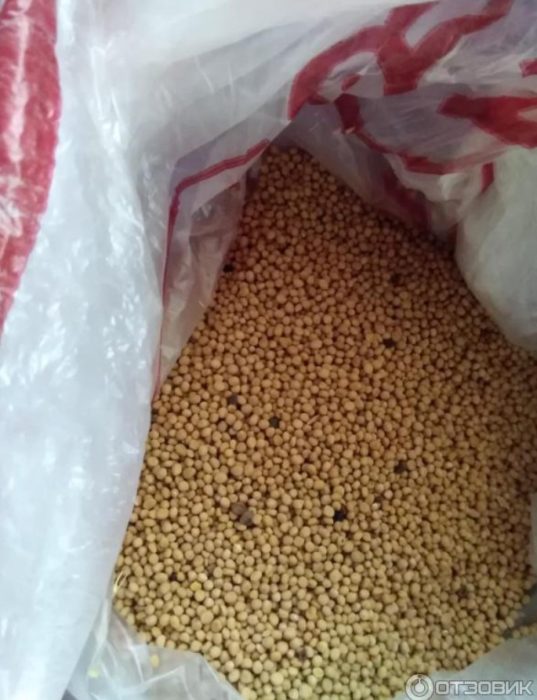 Синапено семе