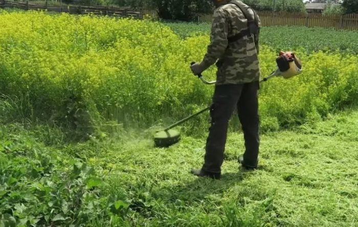 Горчичен фасет