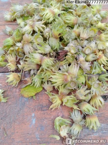 Почистване след отстраняване на ядки Разпръснати ядки