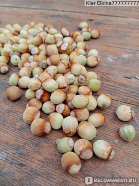 Ядки с черупки Ядки без къща