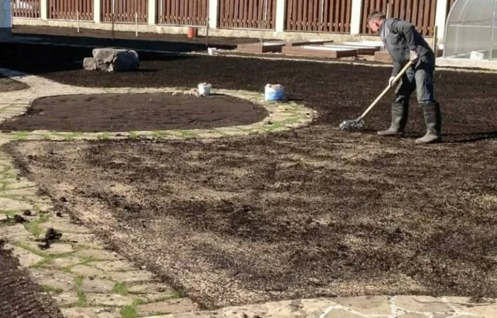 Подготовка на почвата за бентаграс