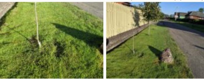 Грижа за тревата