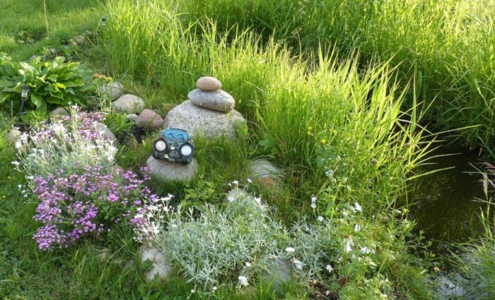 Бентграс близо до езеро