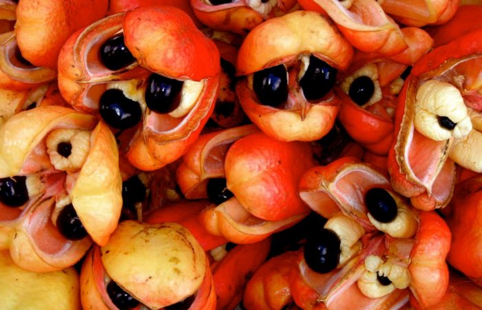 Плодове Аки