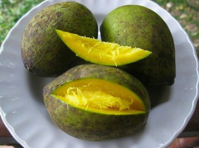 Плод Бам-билан