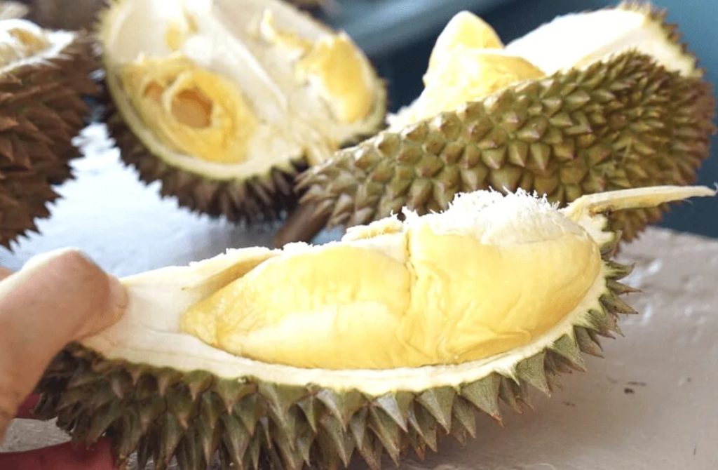 Плодове дуриан