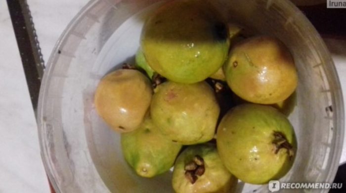 Плодове гуава в купа