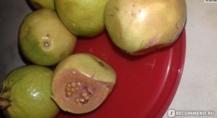 Плодове гуава