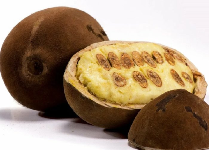 Плод Купаусу