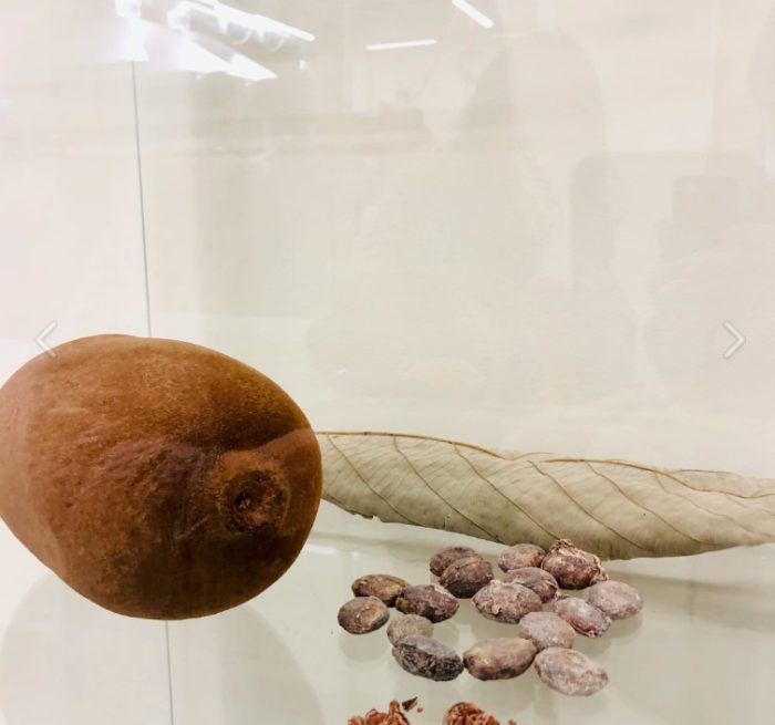 Плод купуасу