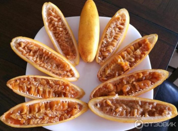 Напречен разрез на плодове куруба