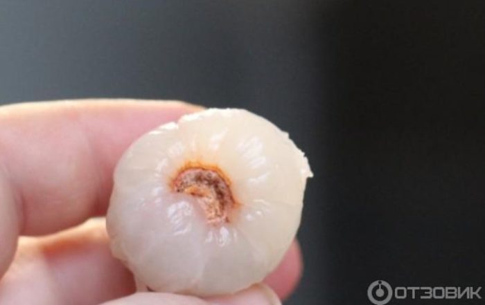 Обелена пулпа от личи