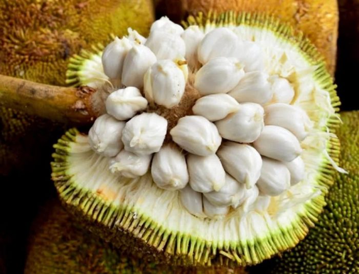 Плод Маранг