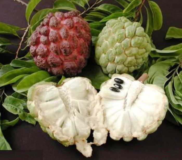 Видове захарна ябълка