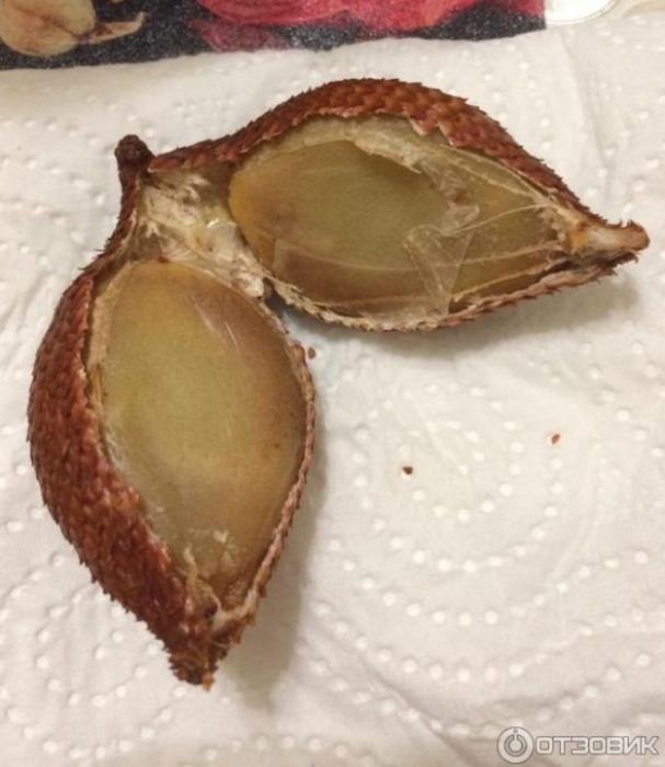 Нарязан плод салак