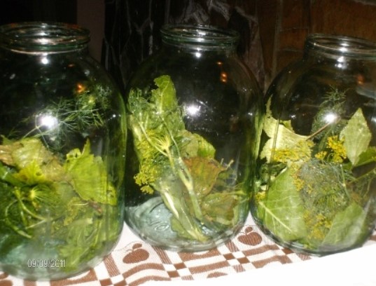 Полагане на зеленина Зеленчуци в буркани