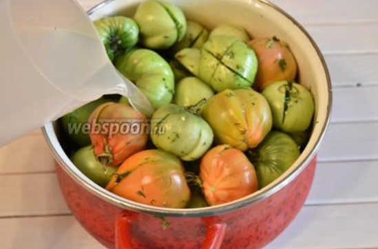 Домати, поставени в тенджера Напълнете със саламура