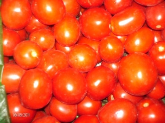 Зрели домати Приготвени домати