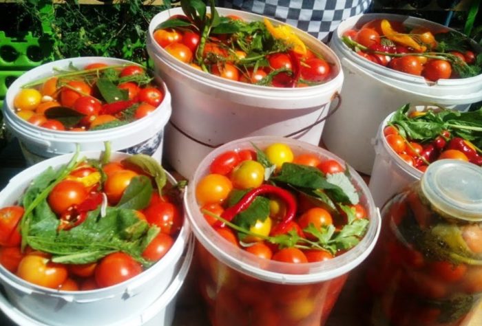 Мариноване на домати Мариновани домати в кофа и буркан