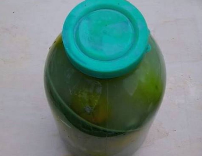 Буркан с мариновани домати Бурканът е затворен с капак