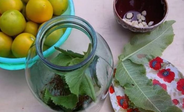 Поставете съставките в буркан Буркан за кисели домати