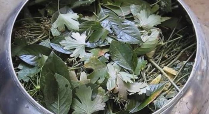 Поставете всички подправки и билки отгоре. Зеленина отгоре