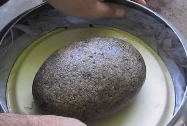 Потисничество върху доматите Потисничество