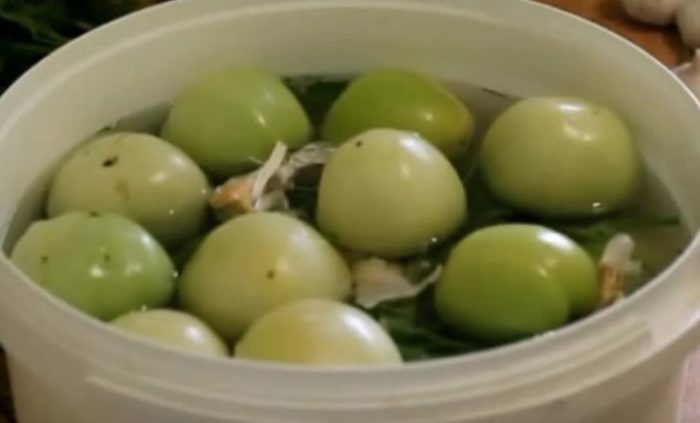 Мариноване на домати в кофа Домати в кофа