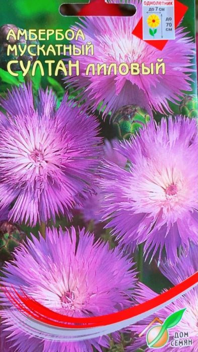 Султан люляк