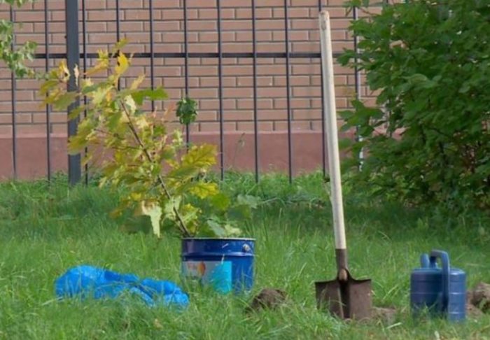 Подготовка за кацане