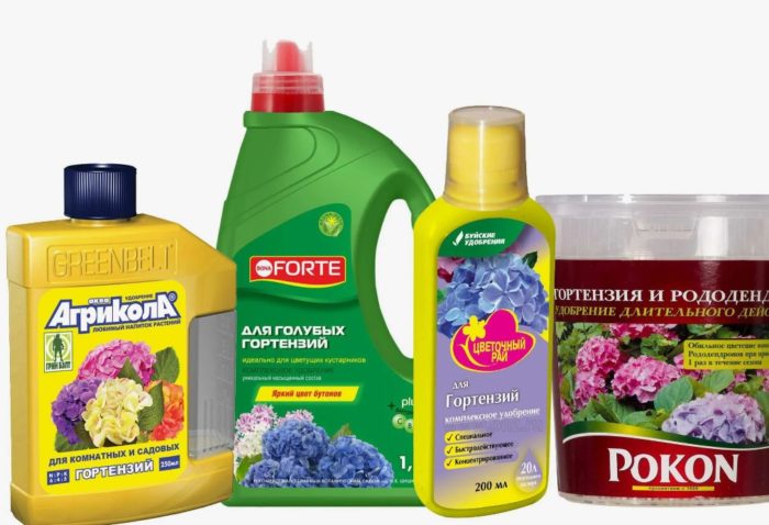 Торове за хортензии