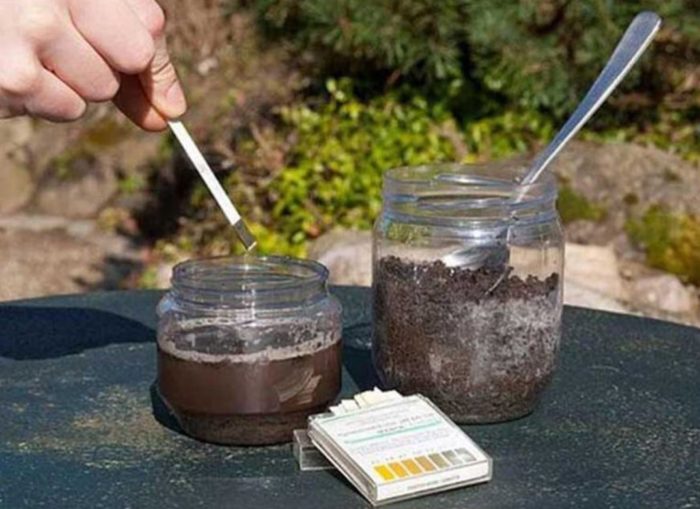 Подкиселяване на почвата