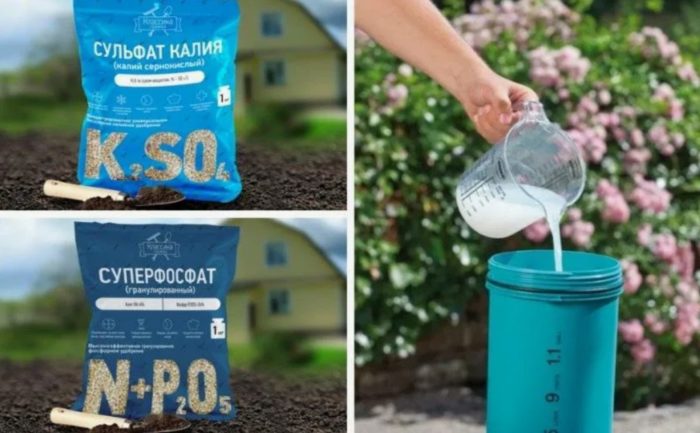 Торове за хортензия