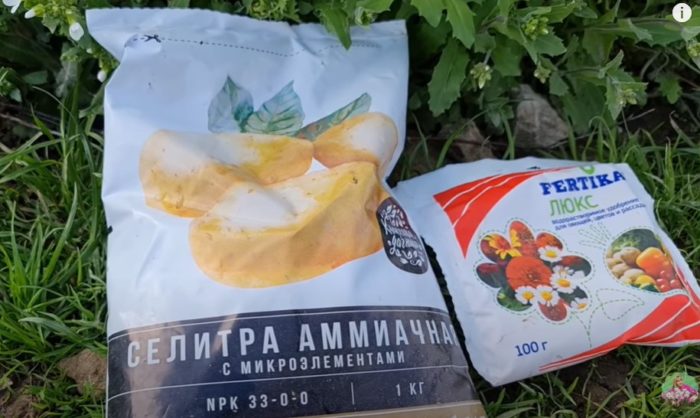 Амониев нитрат за хортензия